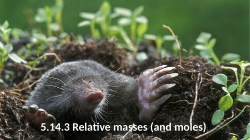 5.14.3 Relative masses and moles (AQA 9-1 Synergy)