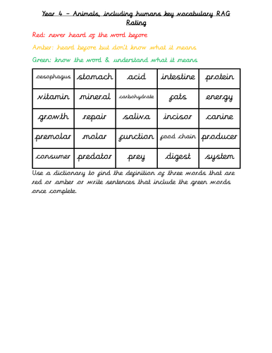 Year 4 Science RAG Rate key vocabulary