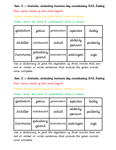 Year 5 Science RAG Rate key vocabulary