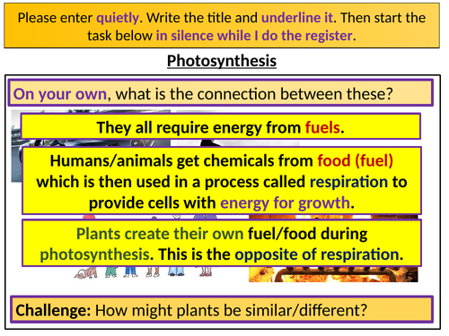 KS3 Photosynthesis & Leaf structure | Teaching Resources