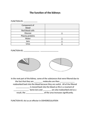 docx, 172.06 KB