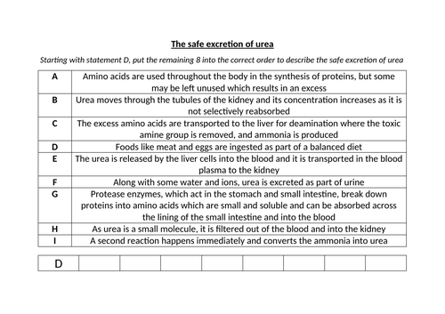 docx, 13.93 KB