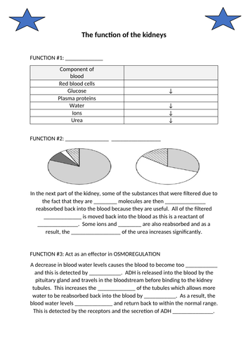 docx, 176.71 KB