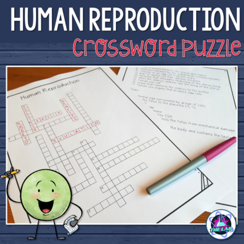 Human Reproduction Crossword Puzzle Teaching Resources