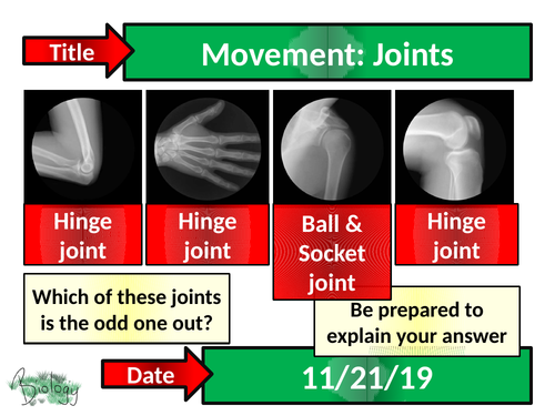 Movement : Joints - Activate