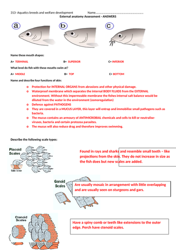 docx, 225.23 KB