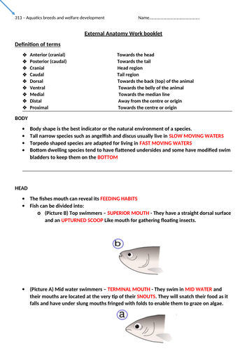 docx, 242.55 KB