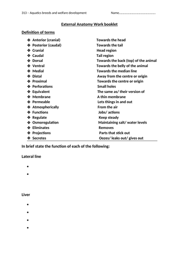 docx, 16.12 KB