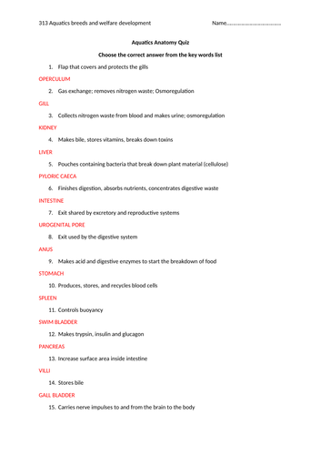 docx, 16.56 KB