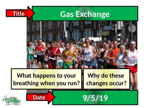 Gas Exchange - Activate