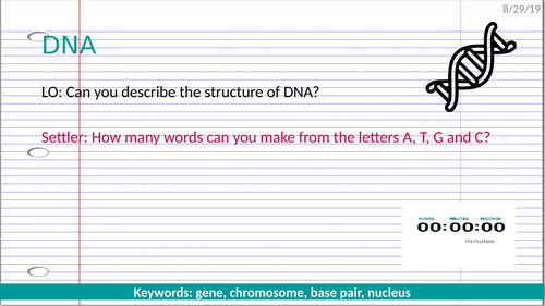 Structure of DNA