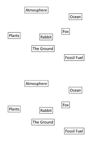 The Carbon Cycle | Teaching Resources