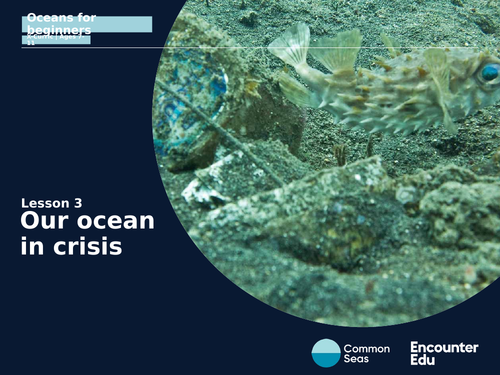 Our ocean in crisis KS2 | Teaching Resources