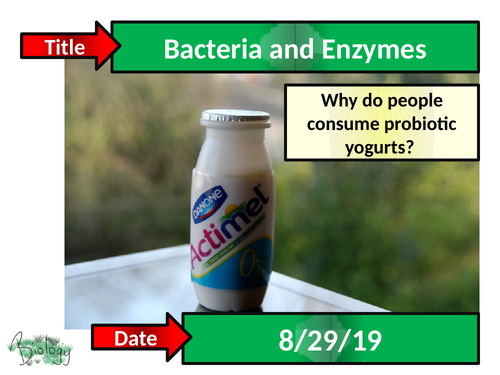 Bacteria and Enzymes in Digestion - Activate