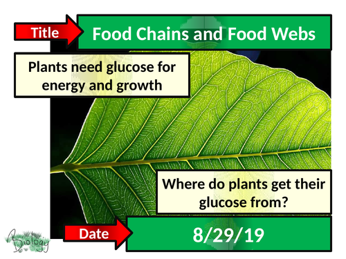 Food Chains and Food Webs - Activate