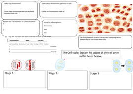 Cell Cycle (Mitosis) NEW AQA 9-1 GCSE Full Lesson | Teaching Resources