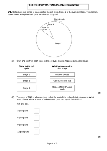 Cell Cycle (Mitosis) NEW AQA 9-1 GCSE Full Lesson | Teaching Resources