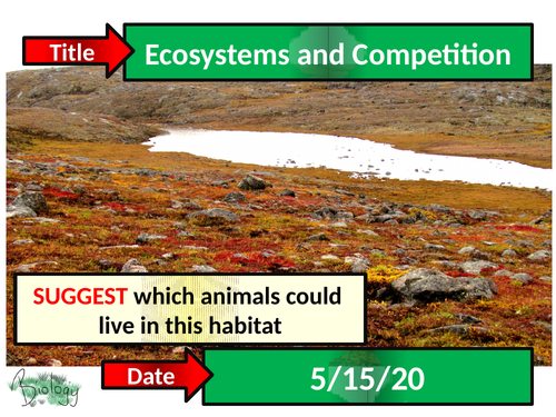 Ecosystems and Competition - Activate