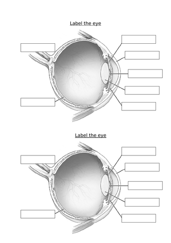 Science- Light- How we see things/ how the eye works lesson Year 6 ...