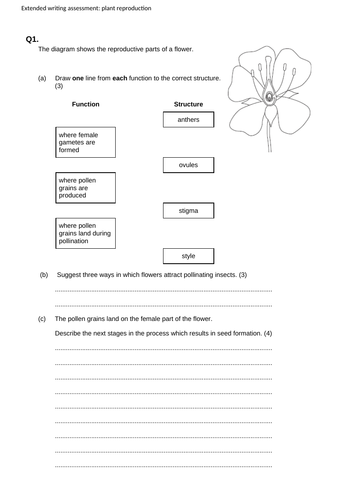 KS3 assessment with marking grid feedback for the plant reproduction ...