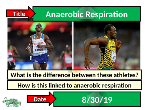 Anaerobic Respiration - Activate