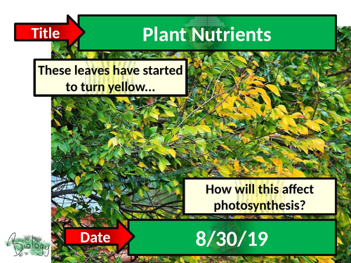 Plant Minerals and Deficiencies - Activate