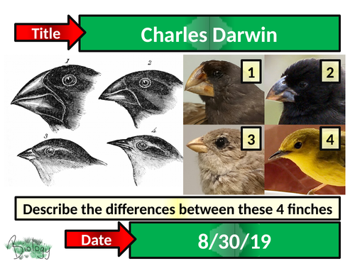 Charles Darwin - Activate