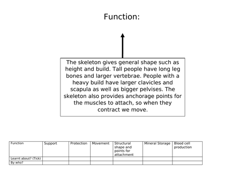 AQA GCSE Physical Education Structure and Function of the Skeletal ...