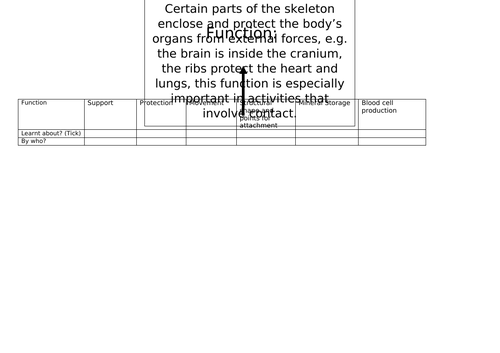 AQA GCSE Physical Education Structure and Function of the Skeletal ...