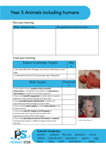 Editable Primary Science topic cover pages - Upper KS2 | Teaching Resources