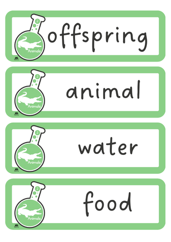 Year 2 Primary Science - Scientific Vocabulary Cards