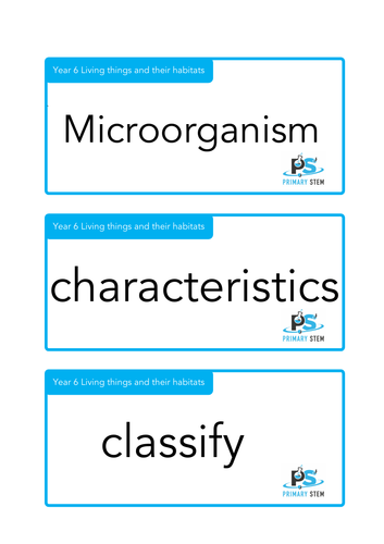 Year 6 Primary Science - Scientific Vocabulary Cards | Teaching Resources