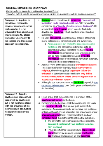 critical essay plan