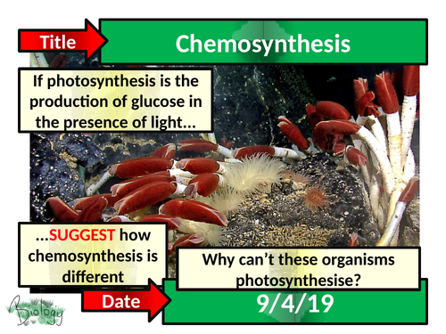 Chemosynthesis - Activate