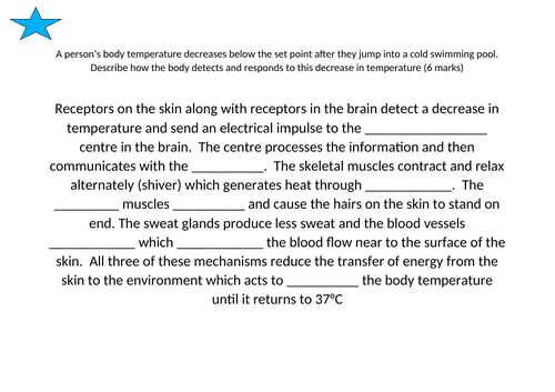 docx, 15.91 KB