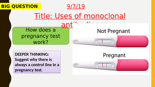 AQA new specification-Uses of monoclonal antibodies-B6.6