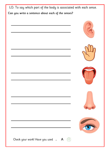 Identifying the Different Senses Worksheet | Teaching Resources