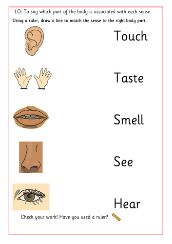 Identifying the Different Senses Worksheet | Teaching Resources