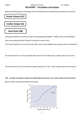 docx, 536.33 KB