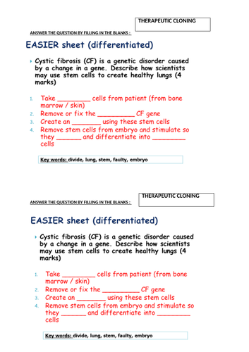 docx, 63.41 KB