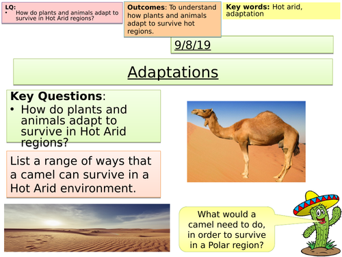 adaptation of plants and animals