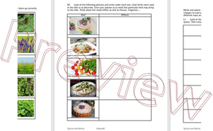 Herbs and Spices workbook | Teaching Resources