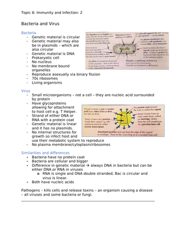 docx, 3.7 MB