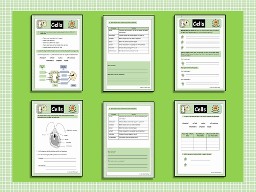 pdf, 991.07 KB
