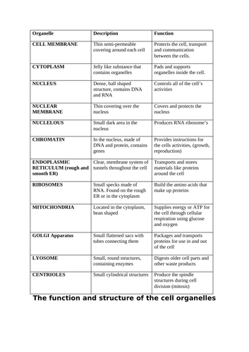 BTEC Unit 3 Anatomy and Physiology A1: Cell Structure | Teaching Resources