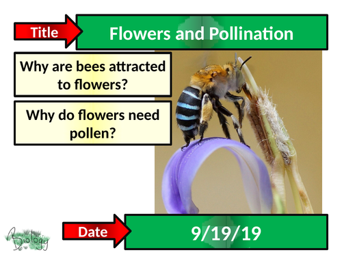 Flowers and Pollination - Activate