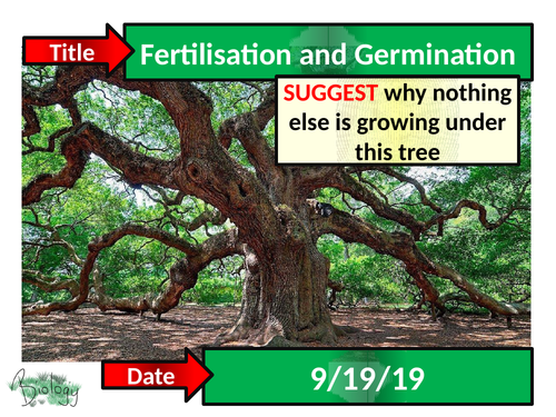 Fertilisation and Germination - Activate