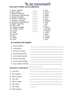 french adjectives ks3 teaching resources