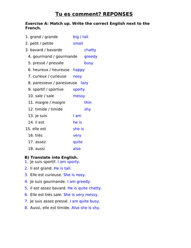 french-adjectives-worksheet-and-wordsearch-ks3-teaching-resources