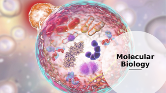 AQA A-level Biology - Topic 1 Biological Molecules | Teaching Resources